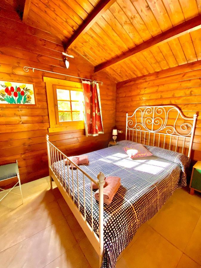 Canary Wild House 2 Carrizal Exterior foto